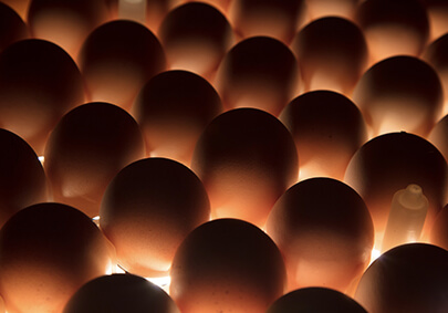 首页| 888集团电子游戏官方网站