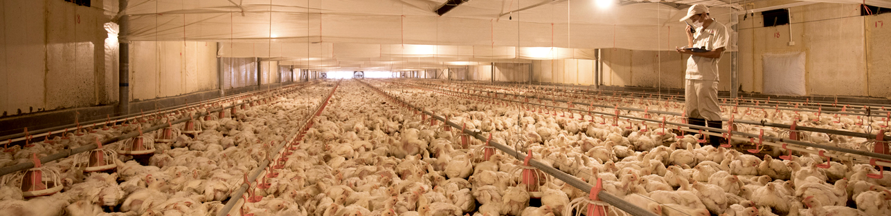 首页| 888集团电子游戏官方网站