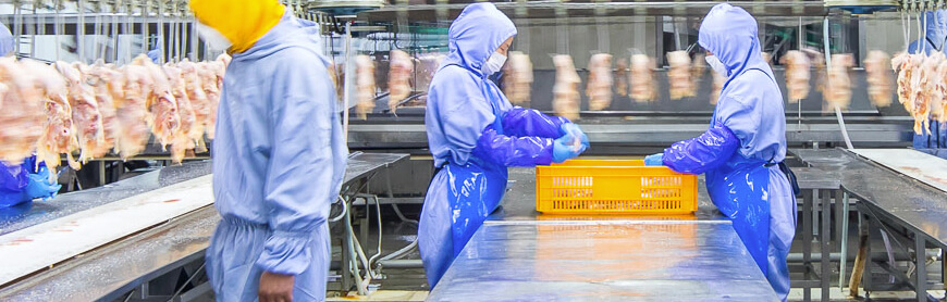 首页| 888集团电子游戏官方网站