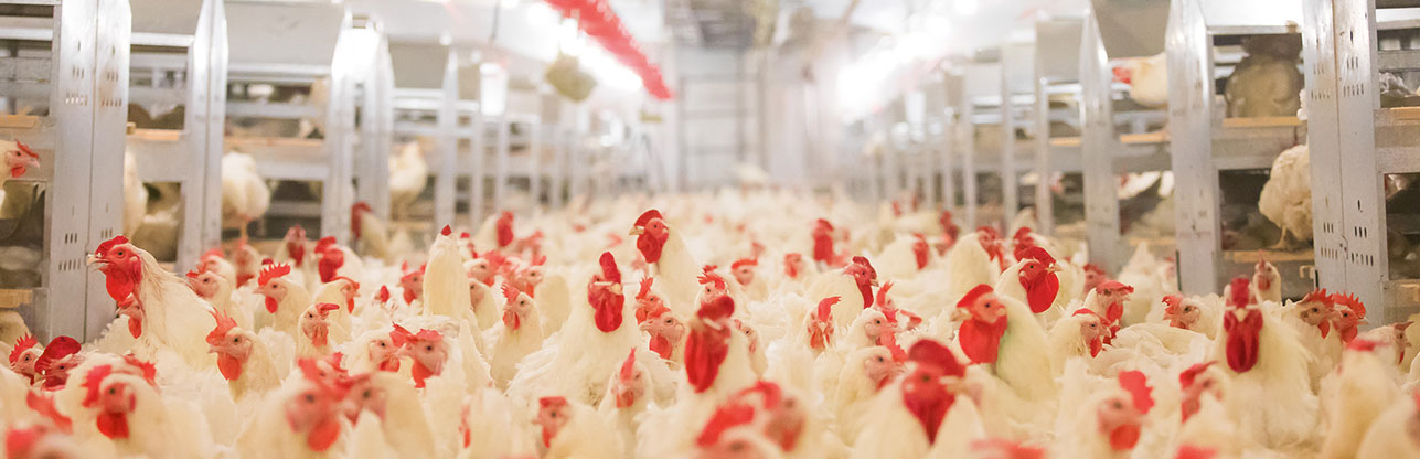 首页| 888集团电子游戏官方网站