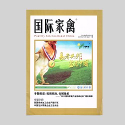 首页| 888集团电子游戏官方网站