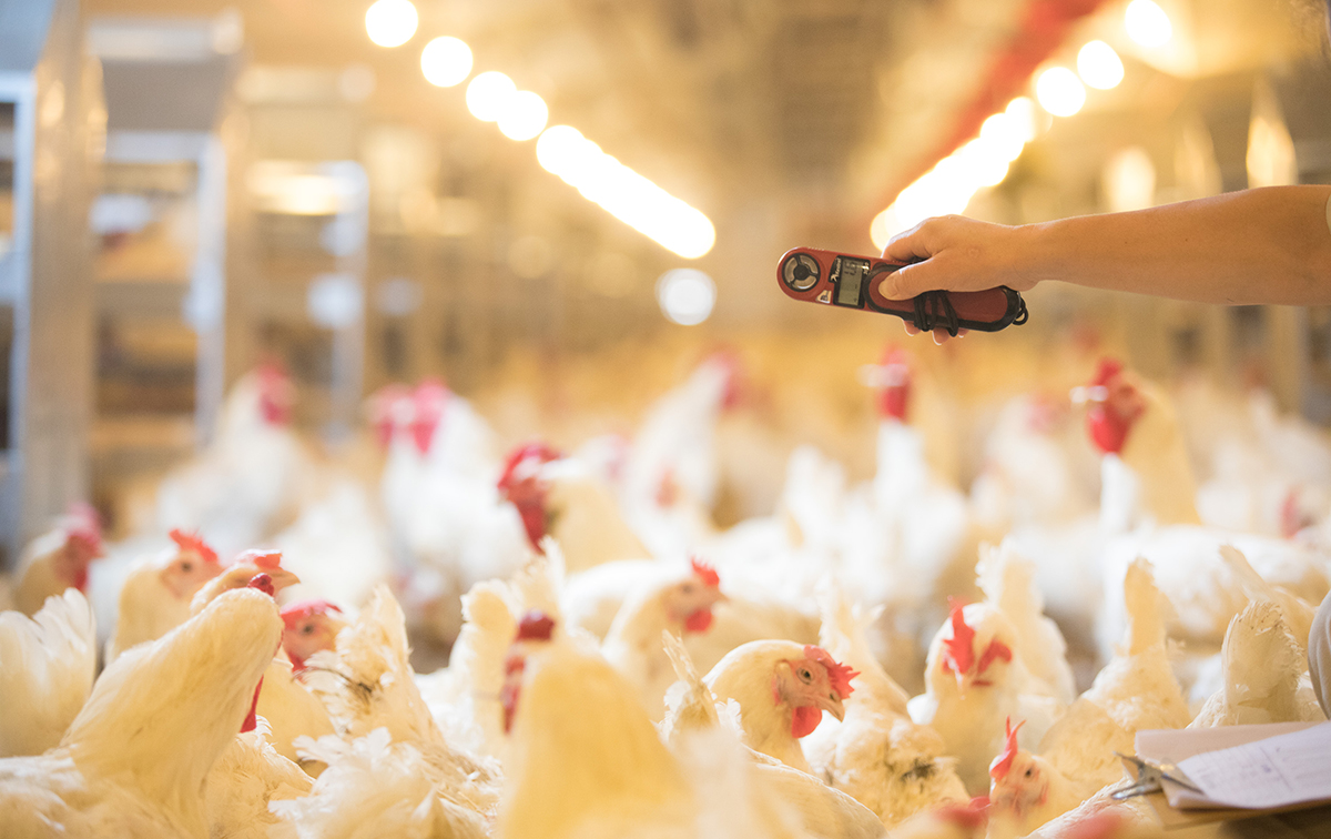 首页| 888集团电子游戏官方网站