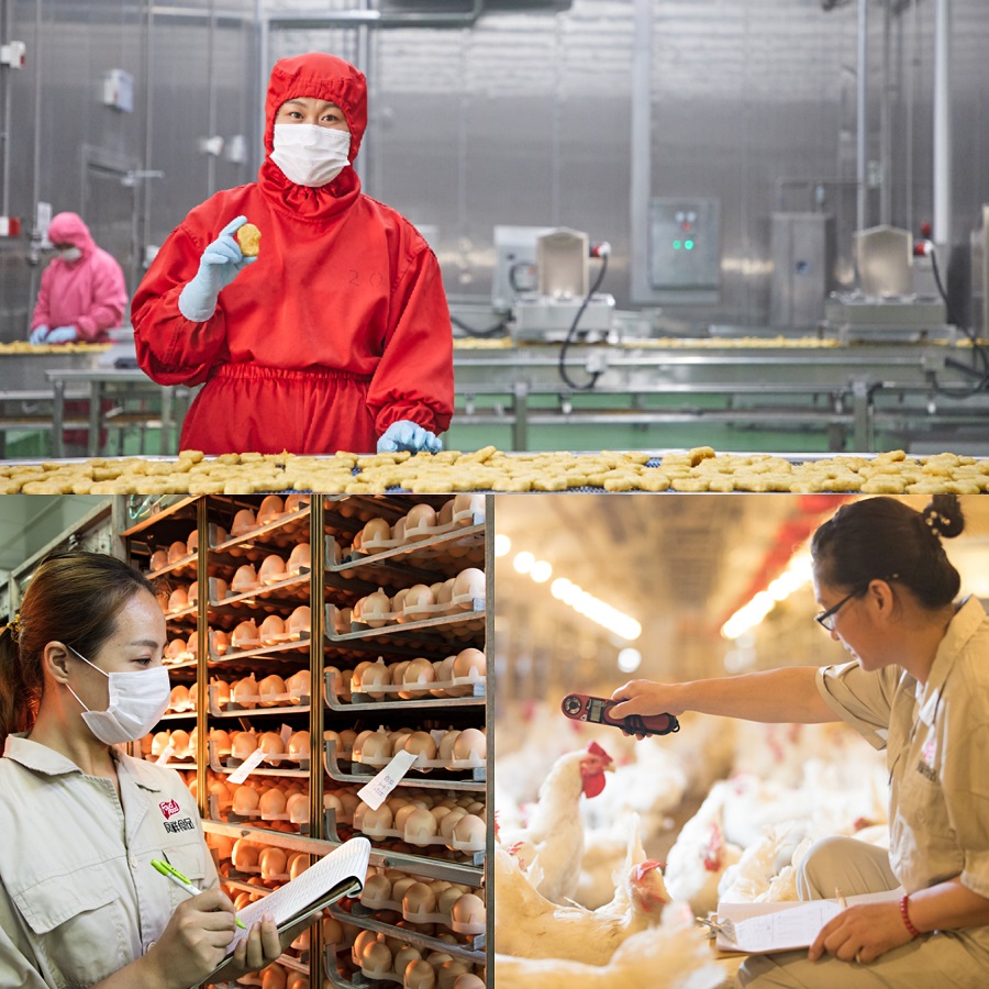 首页| 888集团电子游戏官方网站